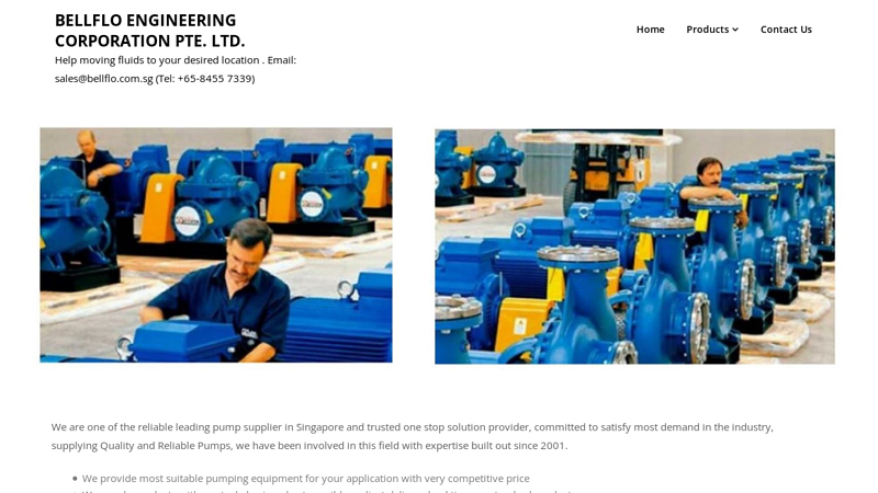 Home  BELLFLO ENGINEERING CORPORATION PTE. LTD. Pump