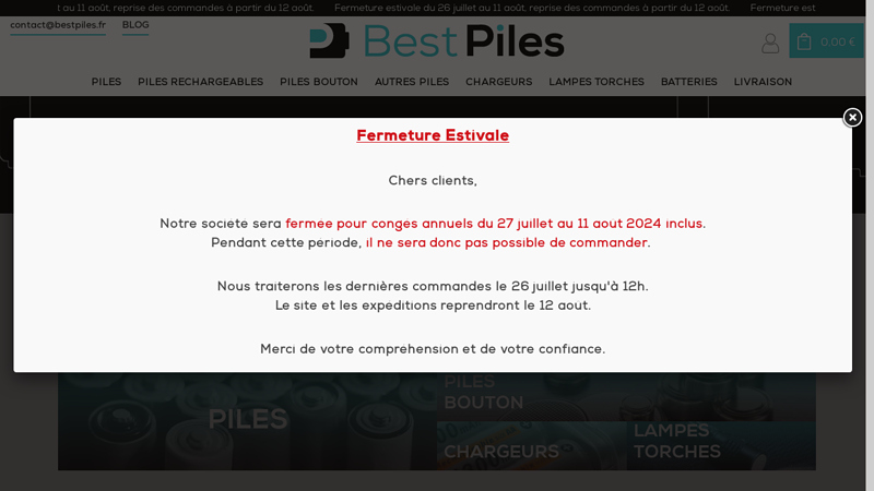 Piles pas chres, chargeurs, torches Duracell, Energizer