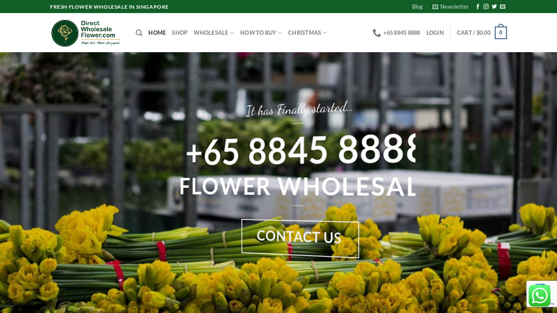 Buy Direct Flower Wholesale in Singapore | DWF Group