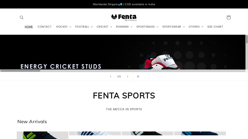 Fenta Sports - The Ultimate Sports Products Store C FENTA SPORTS