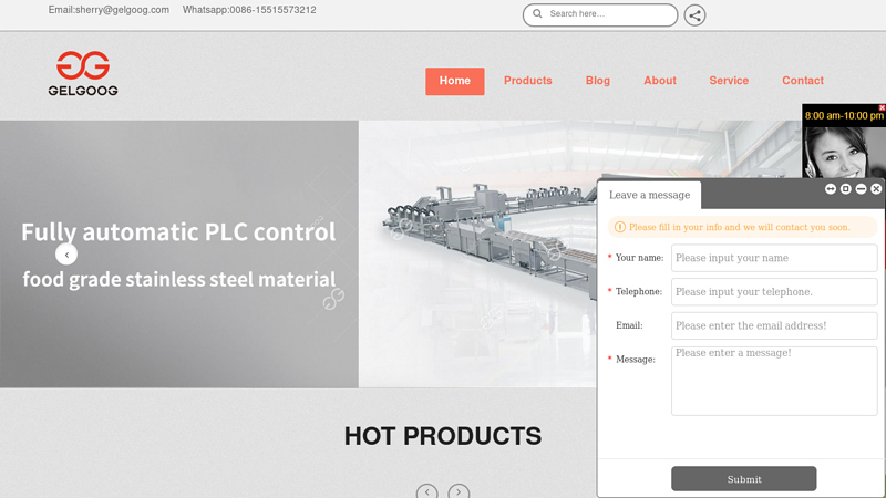 Professional Frying Equipment Manufacturer in China