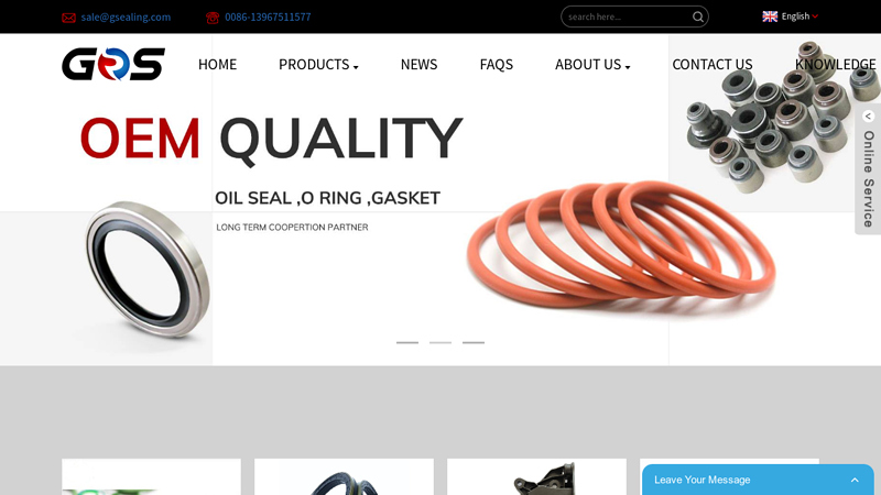 Oil Seal, O Ring, Valve Cover Gasket - GS