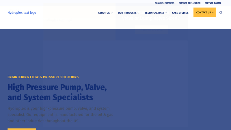 High Pressure Triplex Plunger Pumps, Valves & Accessories