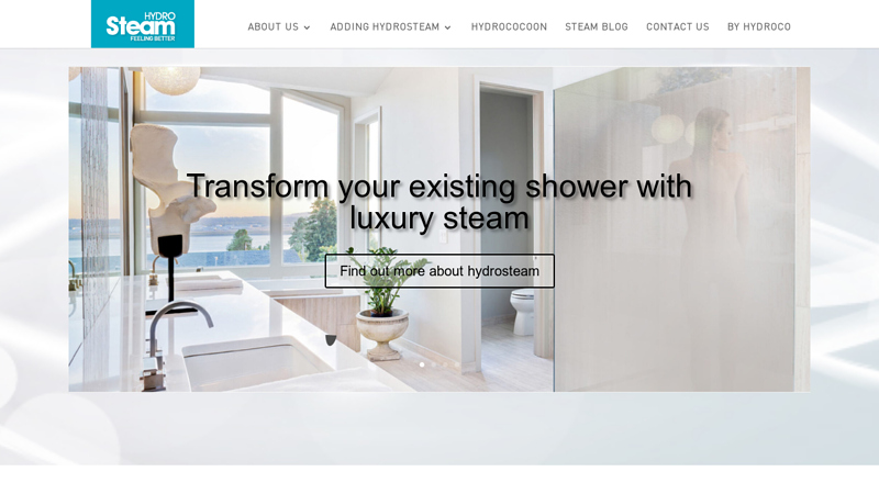 Transform Your Bathroom Into A Steam Room With Our Steam Shower Components