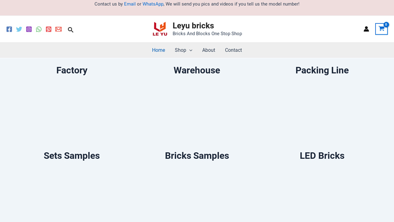 Explore endless creativity with Leyu Bricks toy bricks building blocks