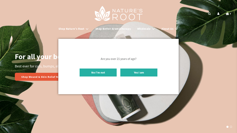 Hemp Oil Products for Skin Care & Natural Pain Relief C Nature
