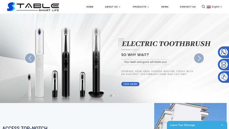Electric Toothbrush, Water Flosser, Facial Massager - Stable