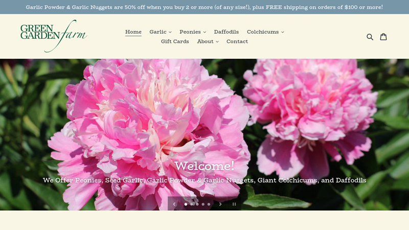Maine Organic Garlic at Green Garden Farm and Beautiful Peonies