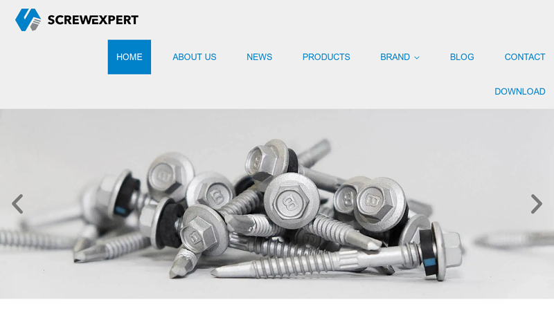 Self Drilling Screws Manufacturer in India - Screw Expert