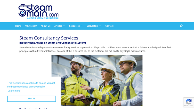 Steam Consultancy Services; Steam and Condensate Design Specialist