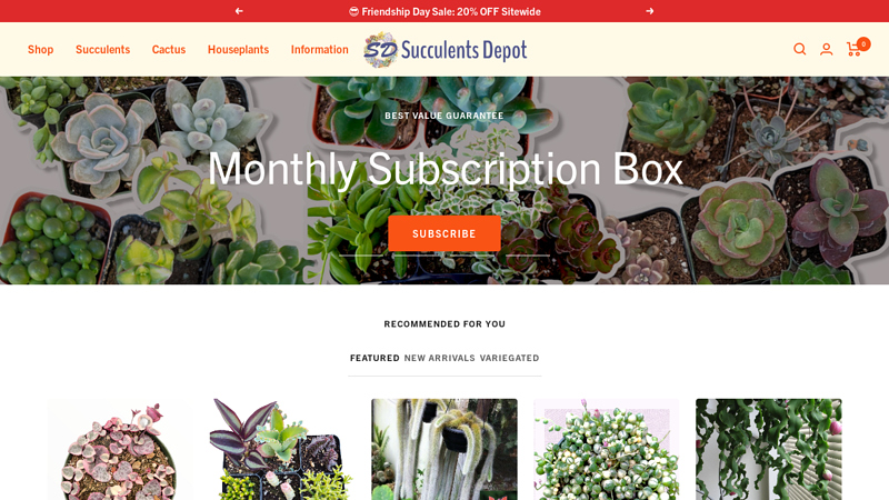 Succulents Depot? - Wide Variety at Low Prices | Cactus | Best Rated
