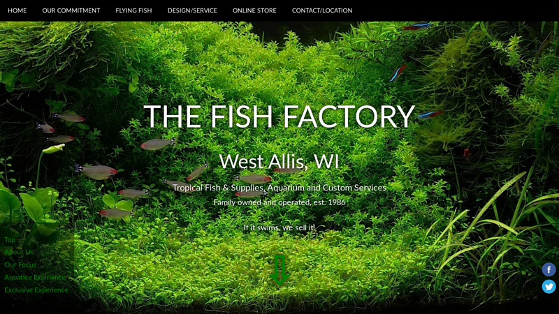The Fish Factory