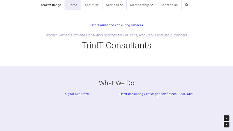TrinIT Consultants