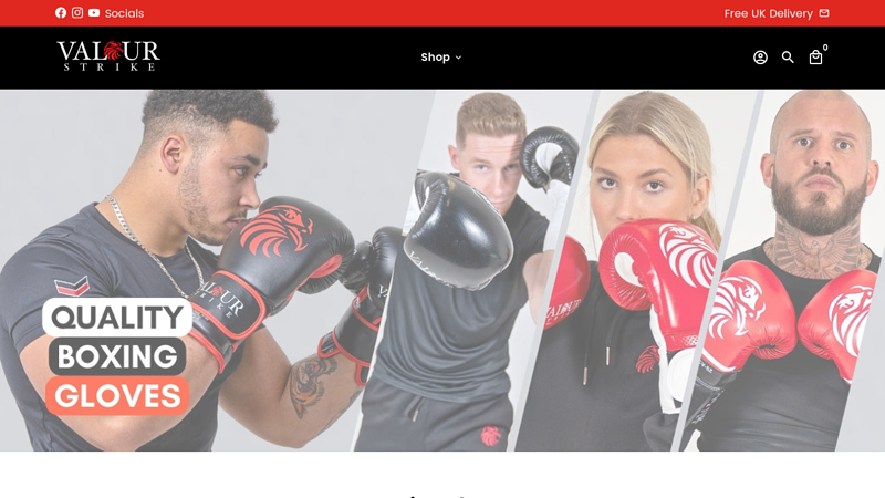 Valour Strike | Shop Boxing Gloves, MMA Equipment & Kickboxing Gear C www.ValourStrike.com