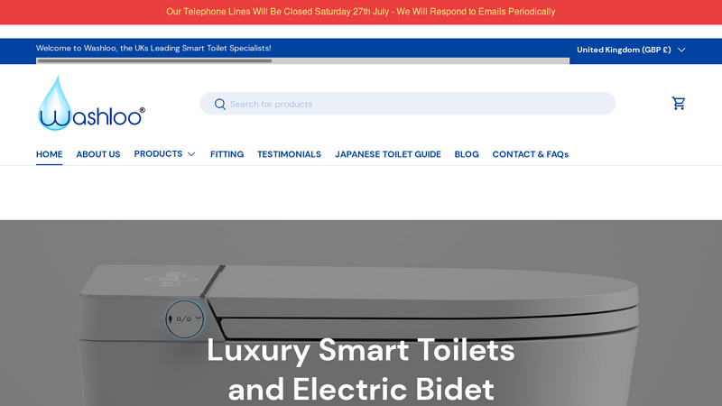 Luxury Electric Bidet Toilet Seats | Washloo?