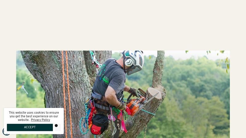 Weaver Arborist - The Ultimate Climbing Experience
